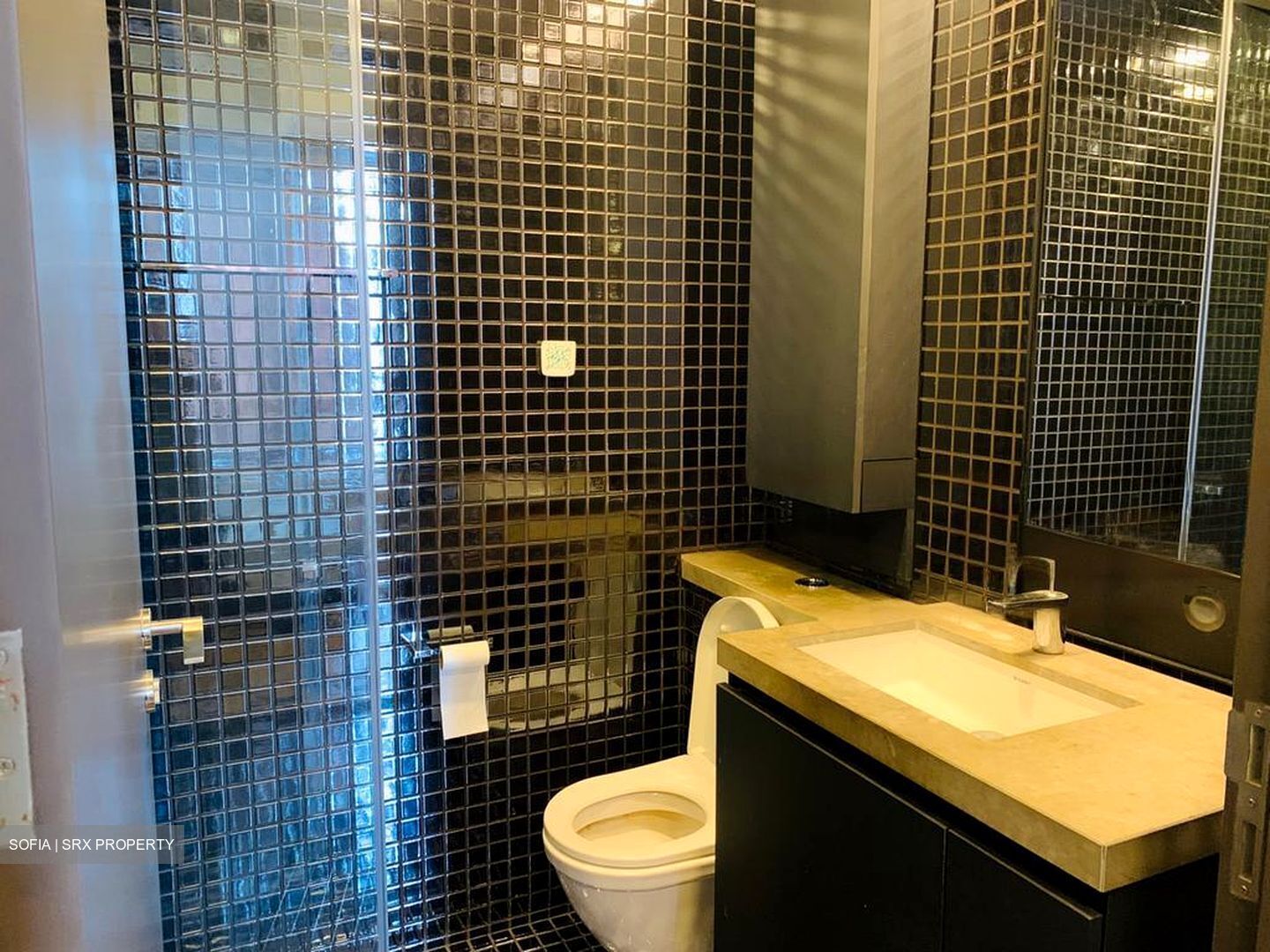 Skysuites@Anson (D2), Apartment #455900531